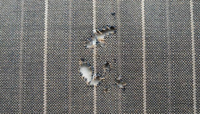 Trou de mite sur un tissu